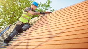 Best Metal Roofing Installation  in Clio, AL