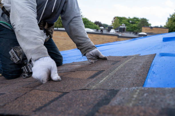 Best Commercial Roofing Services  in Clio, AL